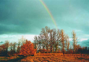 Foto Stefan Hessheimer Landschaft mit Regenbogen