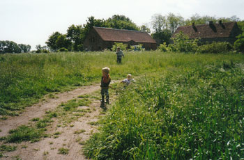 Kind im Feld