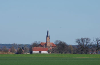 Die Kirche von Neuküstrinchen, wegen ihrer beachtlichen Größe weithin zu sehen und landläufig als "Dom des Oderbuchs" bezeichnet.