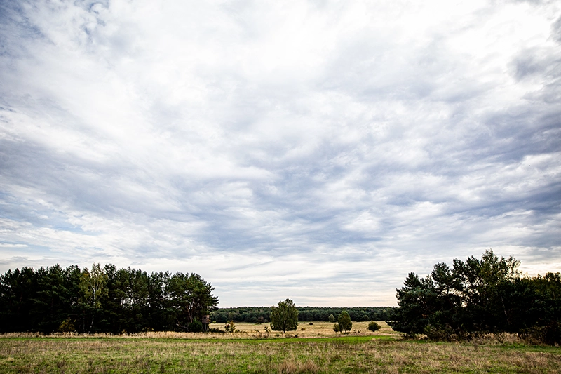 weite Landschaft